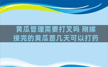 黄瓜管理需要打叉吗 刚嫁接完的黄瓜苗几天可以打药